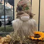 Casa Albina شقة Craveggia