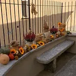 Casa Albina * Craveggia