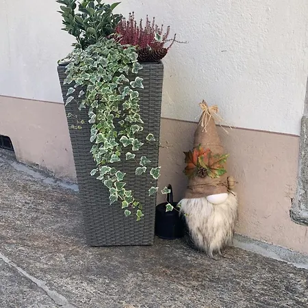 Casa Albina * Craveggia