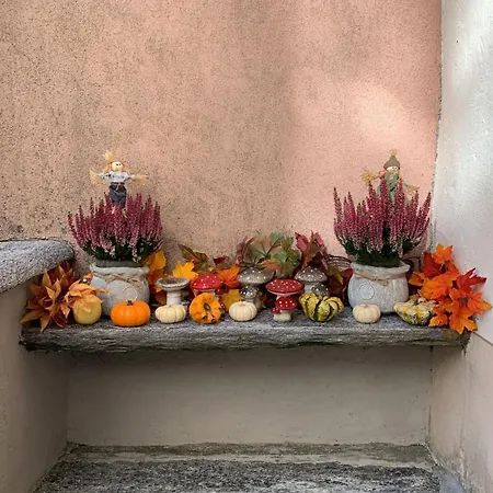 Casa Albina Апартаменты