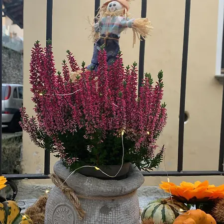 Casa Albina Апартаменты