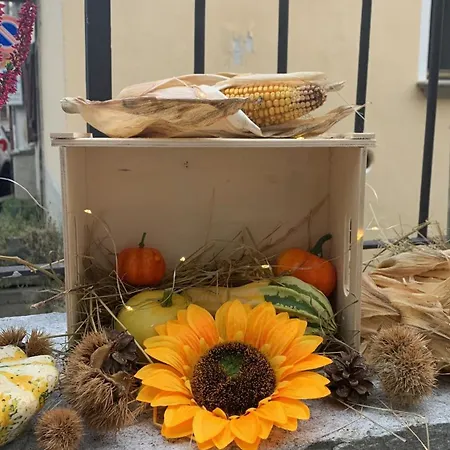 Casa Albina דירה *