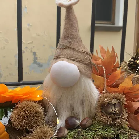 Casa Albina דירה Craveggia