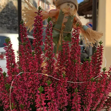 דירה Casa Albina *