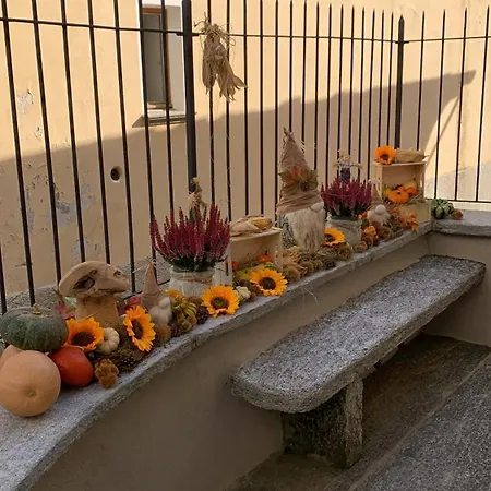 Casa Albina * Craveggia