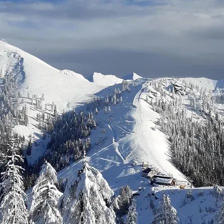 Casa Albina Апартаменты Краведжиа