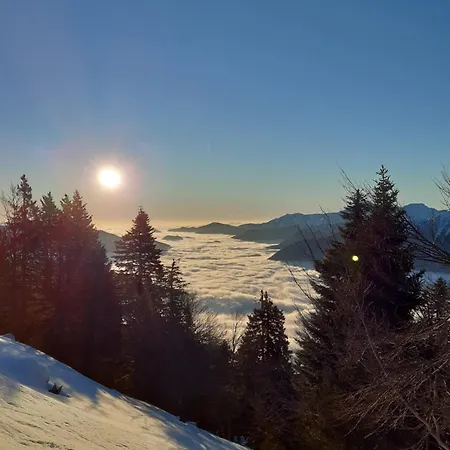 Апартаменты Casa Albina