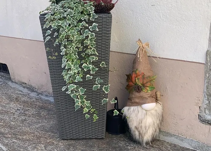 Casa Albina * Craveggia